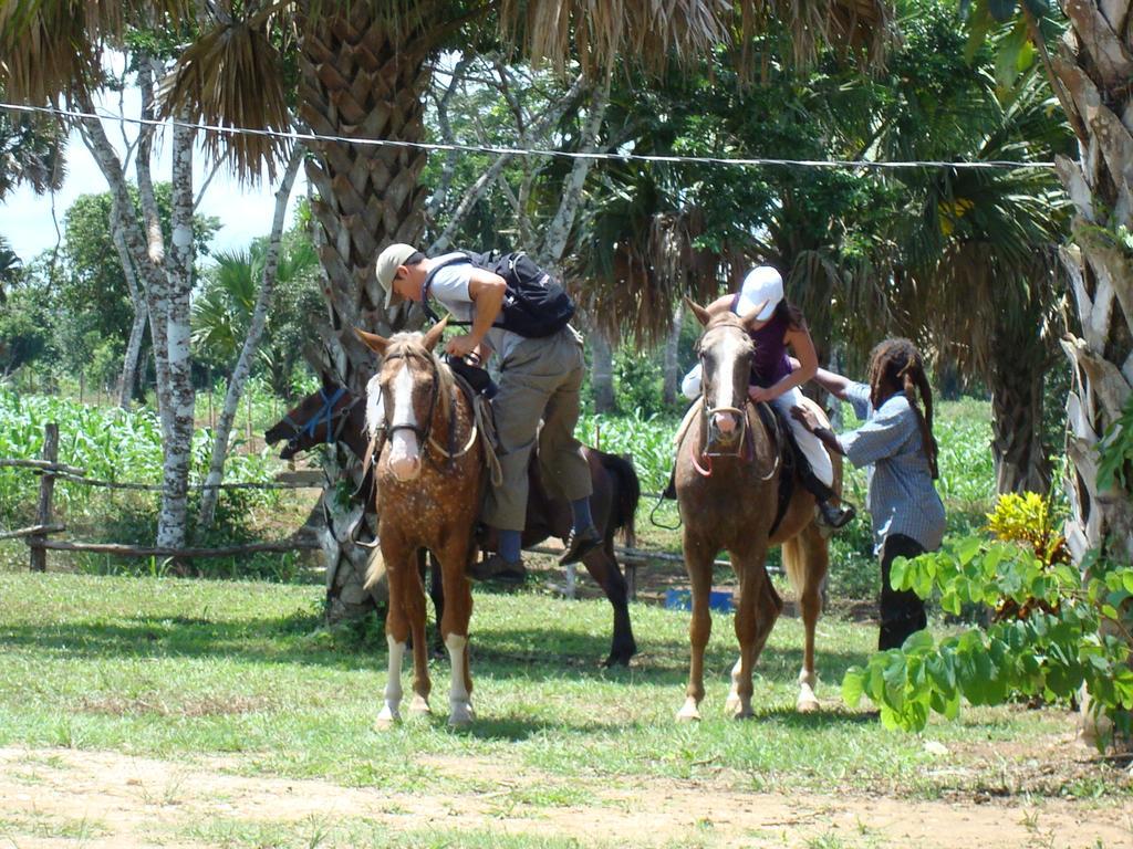 Mahogany Hall Luxury Boutique Resort San Ignacio Luaran gambar